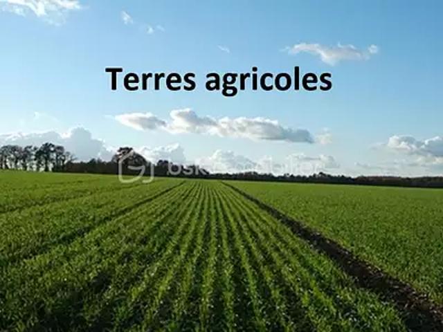 Terrain vente à Sort-en-Chalosse, Landes