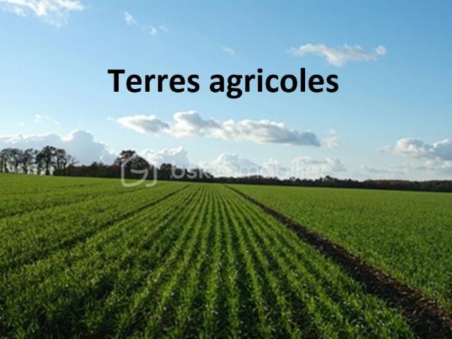 Terrain vente à Dax, Sort-en-chalosse