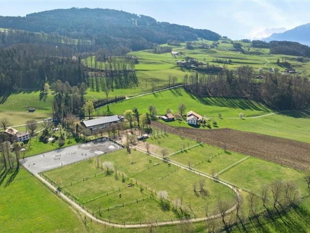 Einfamilienhaus kaufen in Puidoux, Waadt