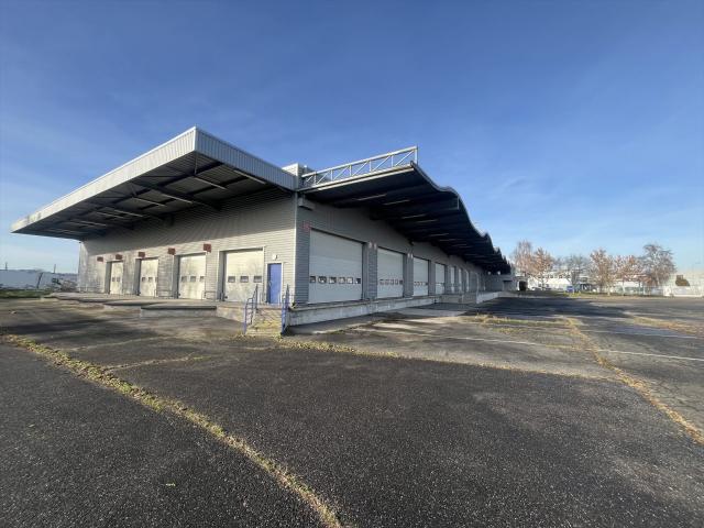 Maison vente à Souffelweyersheim, Collectivité européenne d'Alsace