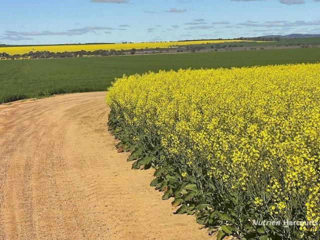 Acreage for sale in West Ballidu, Western Australia
