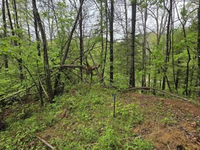 Land for sale in Zoe, Kentucky