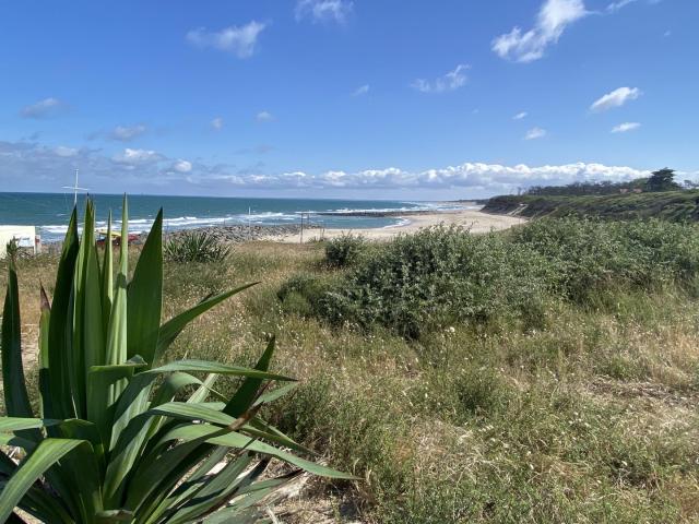 Appartement vente à Soulac-sur-mer