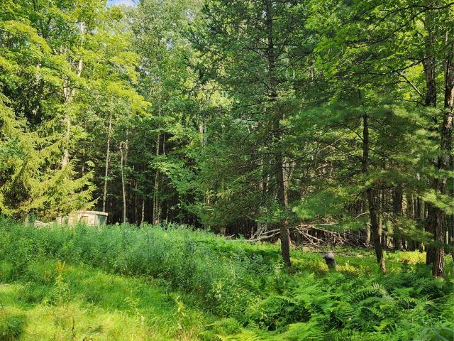 Land for sale in Town of Bethel, Sullivan County