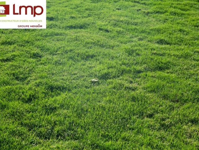 Terrain vente à Soullans, Vendée