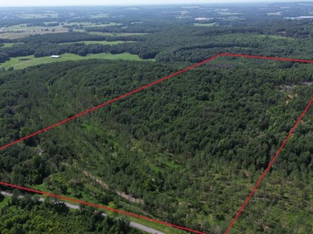 Land for sale in Blount, Alabama