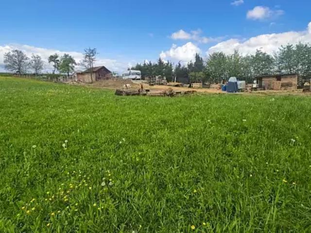 Terrain vente à Haguenau-Wissembourg, Soultz-sous-forêts