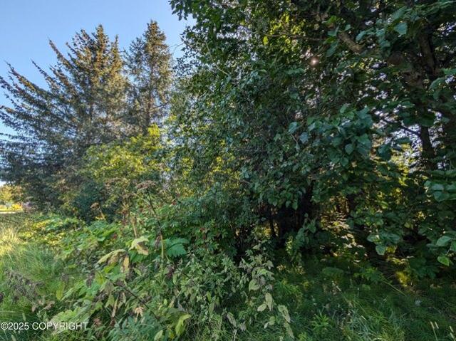 Land for sale in Gomer