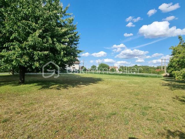 Terrain vente à Fontainebleau, Souppes-sur-loing