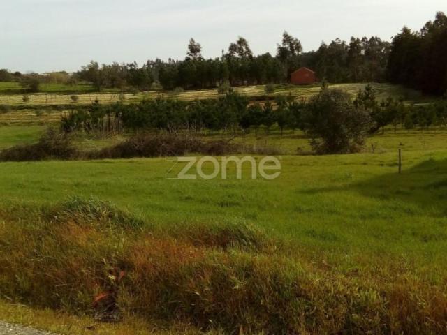 Terreno venda em Soure, Coimbra