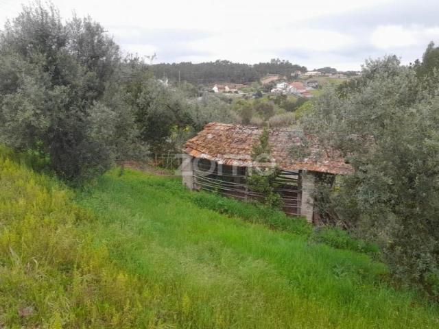 Terreno venda em Soure, Coimbra