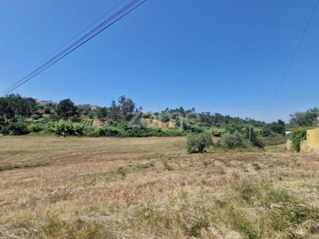 Terreno venda em Soure, Coimbra