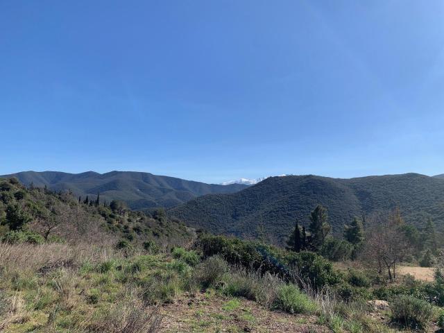 Terrain vente à Prades, Sournia