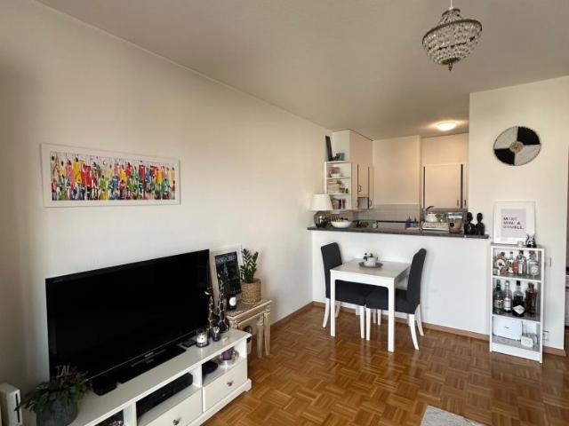 Apartment mieten in Nyon, District de Nyon