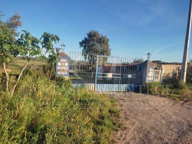 Terreno venda em Sousel, Portalegre