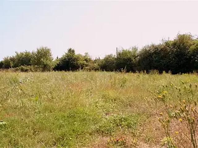 Terrain vente à France métropolitaine, Soussans