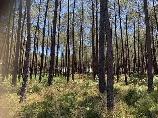 Terrain vente à Dax, Soustons