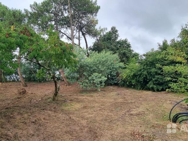 Terrain vente à France métropolitaine, Soustons