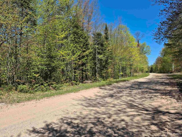 Land for sale in Au Train, Michigan