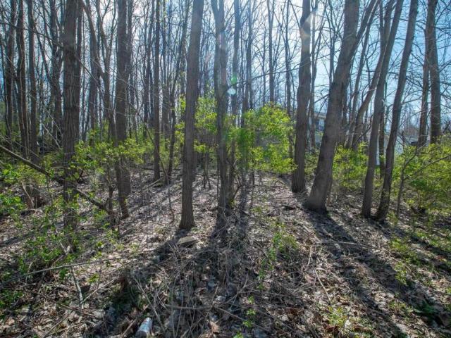 Land for sale in South Bend, Indiana