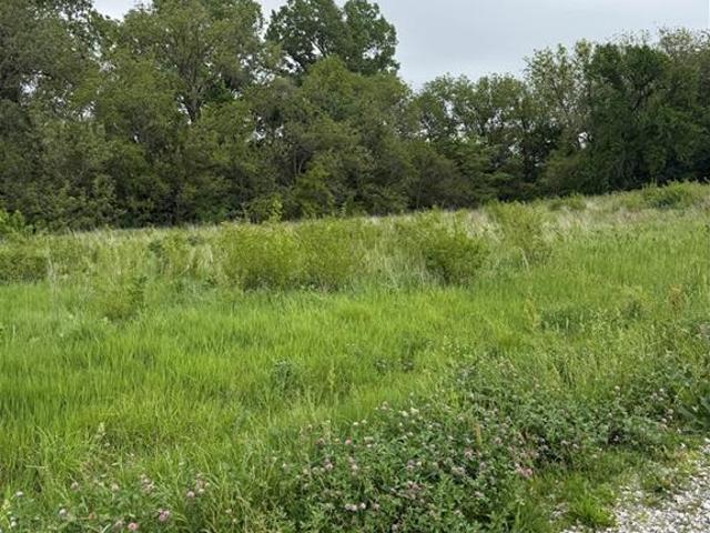 Farm for sale in Burlington Junction, Nodaway County