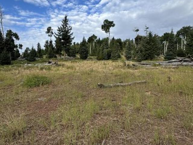 Land for sale in Duck Creek Village, Utah