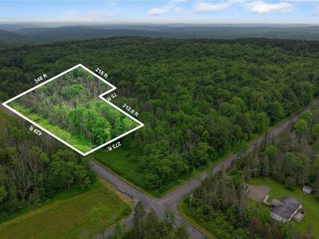 Farm for sale in Brooktondale, New York