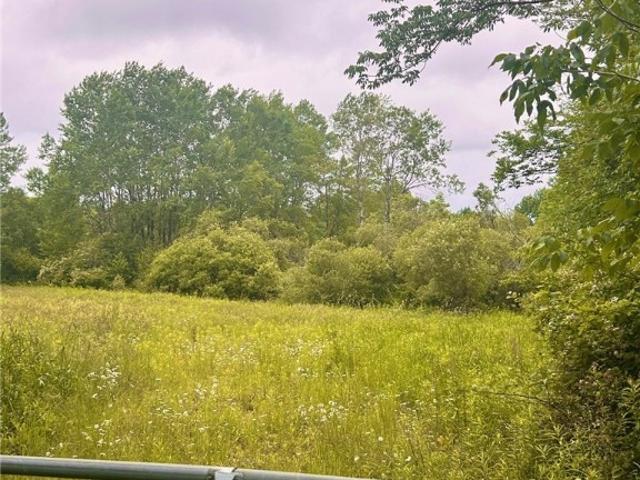 Land for sale in Plymouth, New York