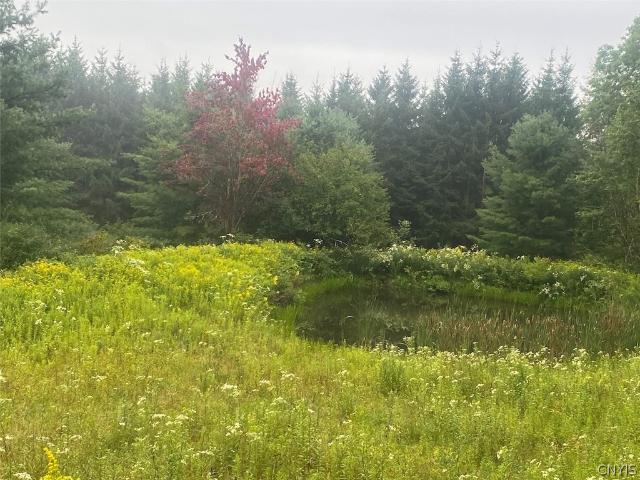 Land for sale in Town of West Almond, Village of Belmont