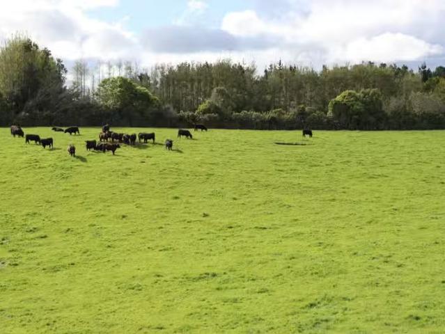 House for rent in Manutahi, Taranaki