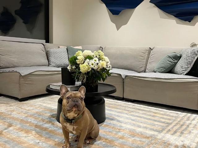 Room for rent in Camerons Creek, Victoria
