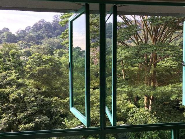 Condominium for rent in Upper Bukit Timah