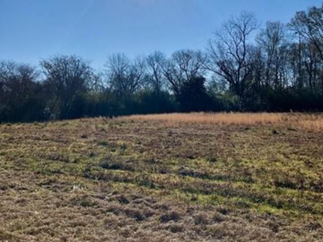 Land for sale in Greenville, Alabama