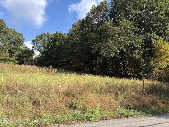 Land for sale in Shickshinny, Luzerne County