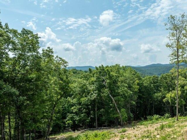 Land for sale in Blue Ridge