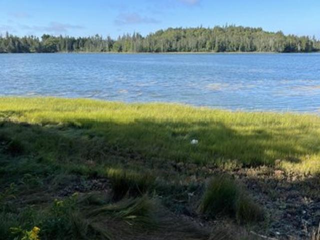Land for sale in North Haven, Maine