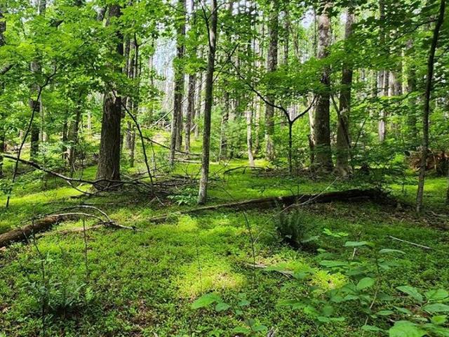 Land for sale in Virginia