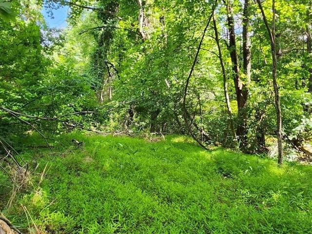 Land for sale in Virginia