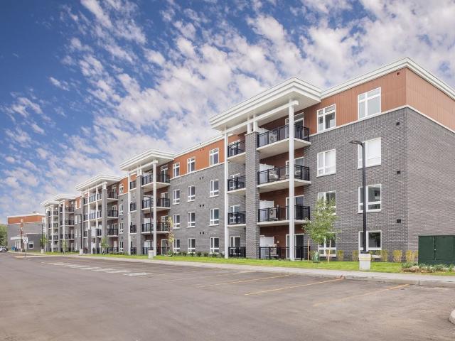 Apartment for rent in Oldcastle, Ontario
