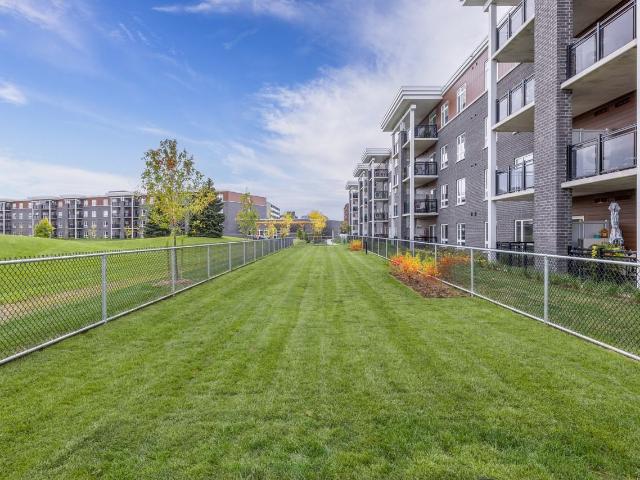 Apartment for rent in Oldcastle, Ontario