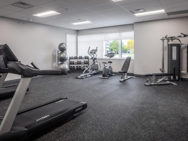 Apartment for rent in Oldcastle, Ontario