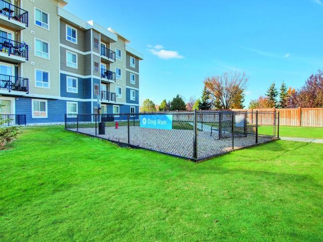 Apartment for rent in Medicine Hat, Alberta