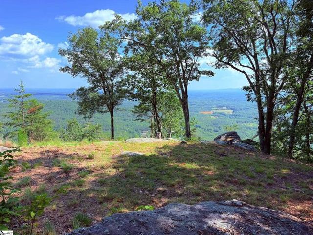 Land for sale in Landrum, South Carolina