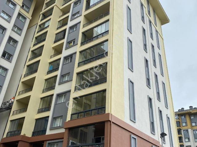 Arnavutköy, İstanbul içerisinde kiralık mülk