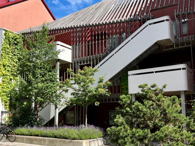 Lägenhet hyra i Umeå, Västerbotten
