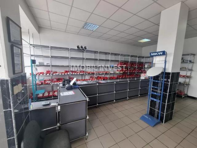 Apartament închirieri în Alba