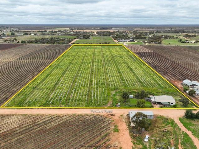 House for sale in Loveday, South Australia