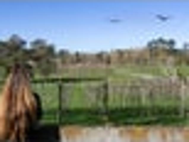 House for sale in Kawau Island