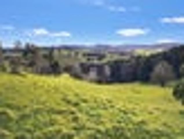 Land for sale in Maungaturoto, Northland