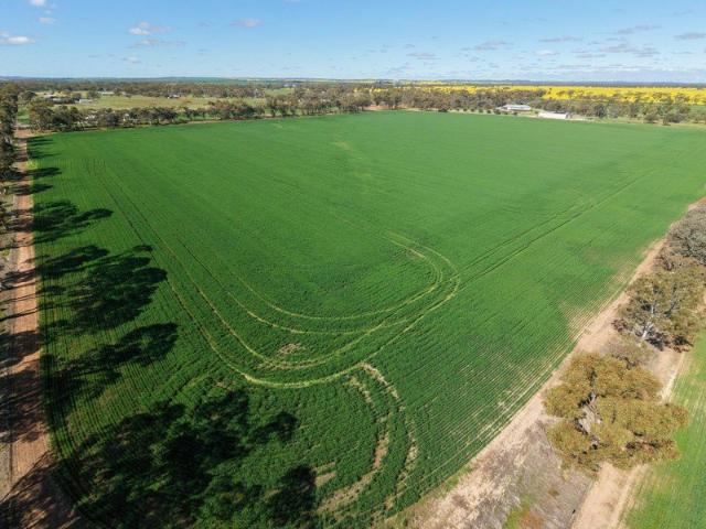 Land for sale in Moora, Western Australia